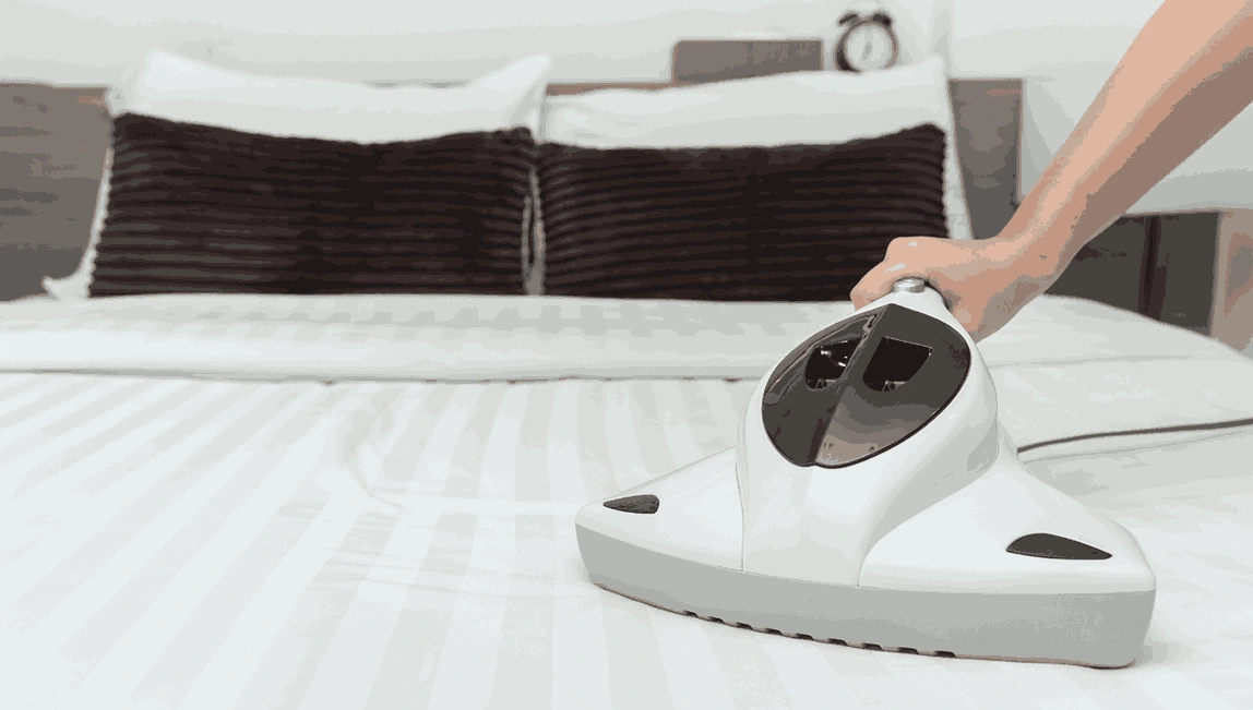 Professional Mattress Cleaning Torquay